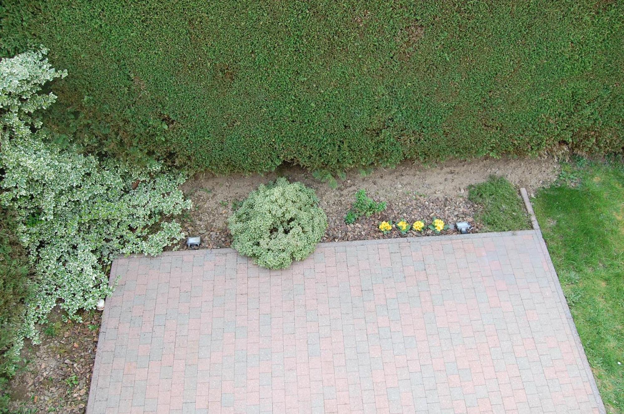 B&B Des Bois Sans Nombre Paliseul Bagian luar foto